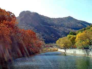 澳门二四六天天免费好材料，神马泛目录